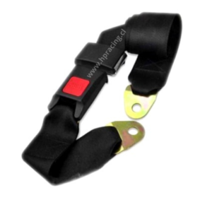 CINTURON DE SEGURIDAD UNIVERSAL 2 PUNTAS